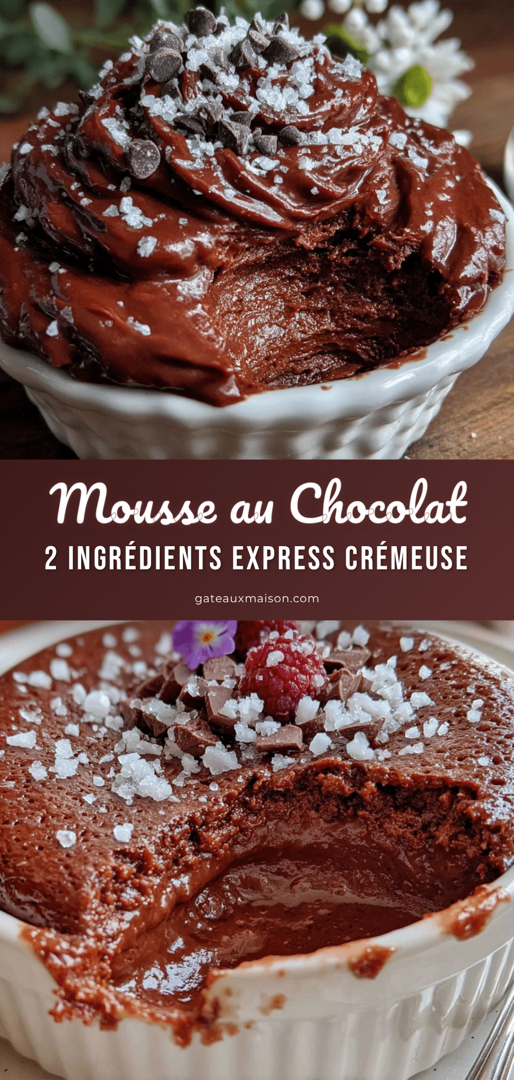 mousse au chocolat 2 ingrédients express crémeuse recipe
