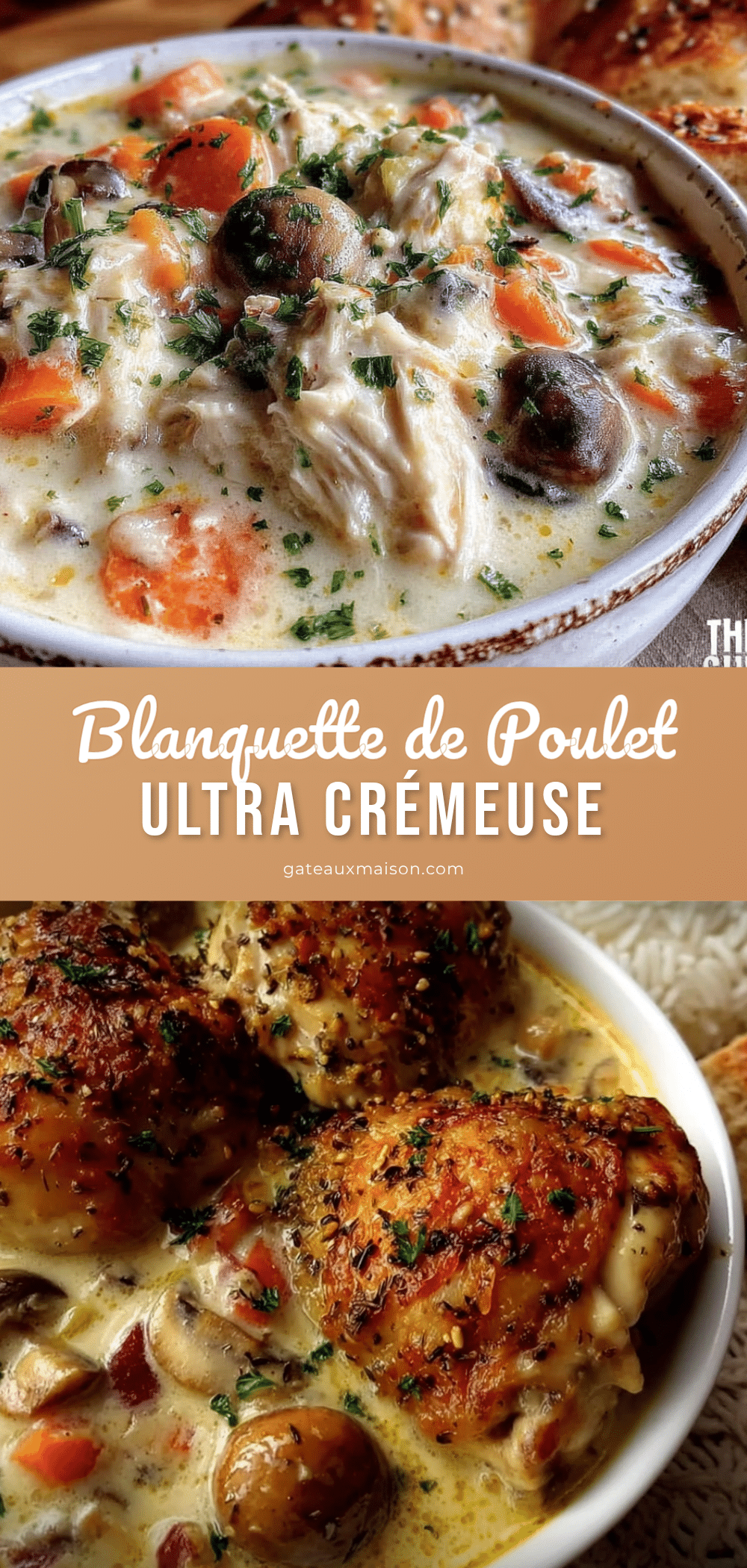 blanquette de poulet traditionnelle recipe